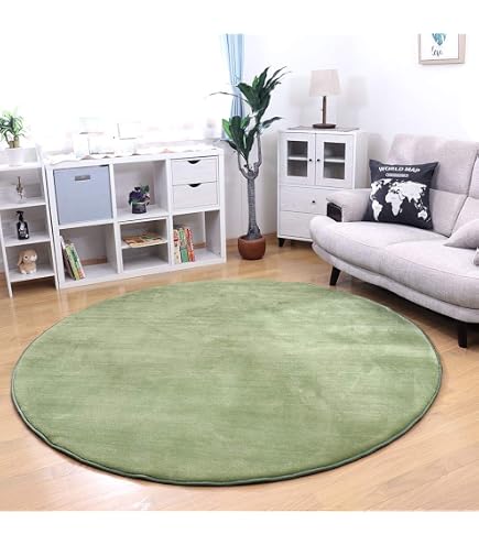 Amazon | Huloo sleep 低反発フランネルラグ 3cm厚 円形 カーペット